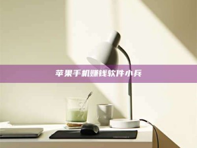 邵东苹果手机赚钱软件小兵