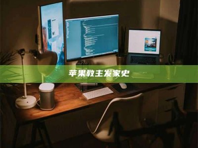 邵东苹果教主发家史