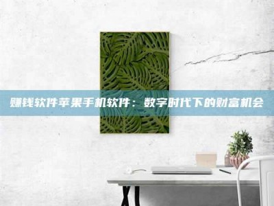 邵东赚钱软件苹果手机软件：数字时代下的财富机会